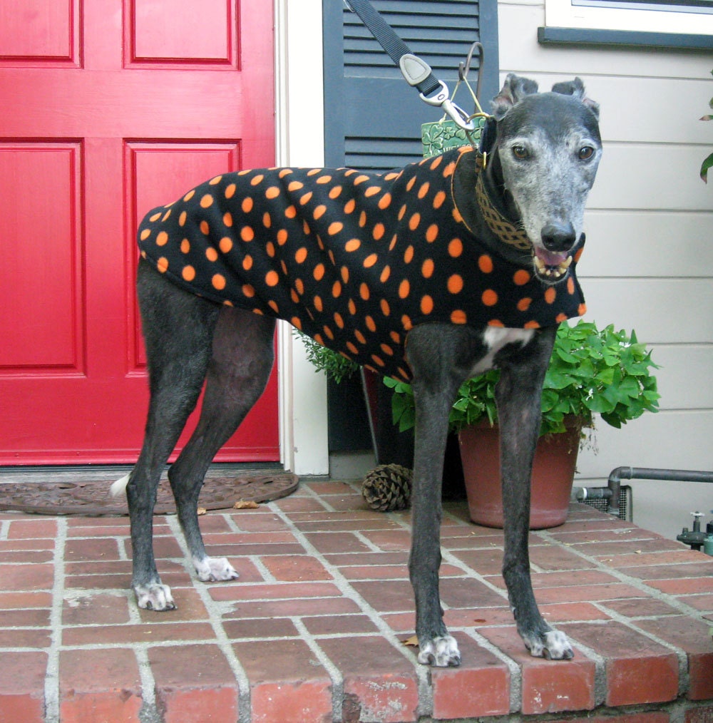 Halloween Greyhound Dog Coat Black Fleece by TheThimbleAndHound