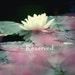 RESERVED for Kathy Cronin - Heart Stones