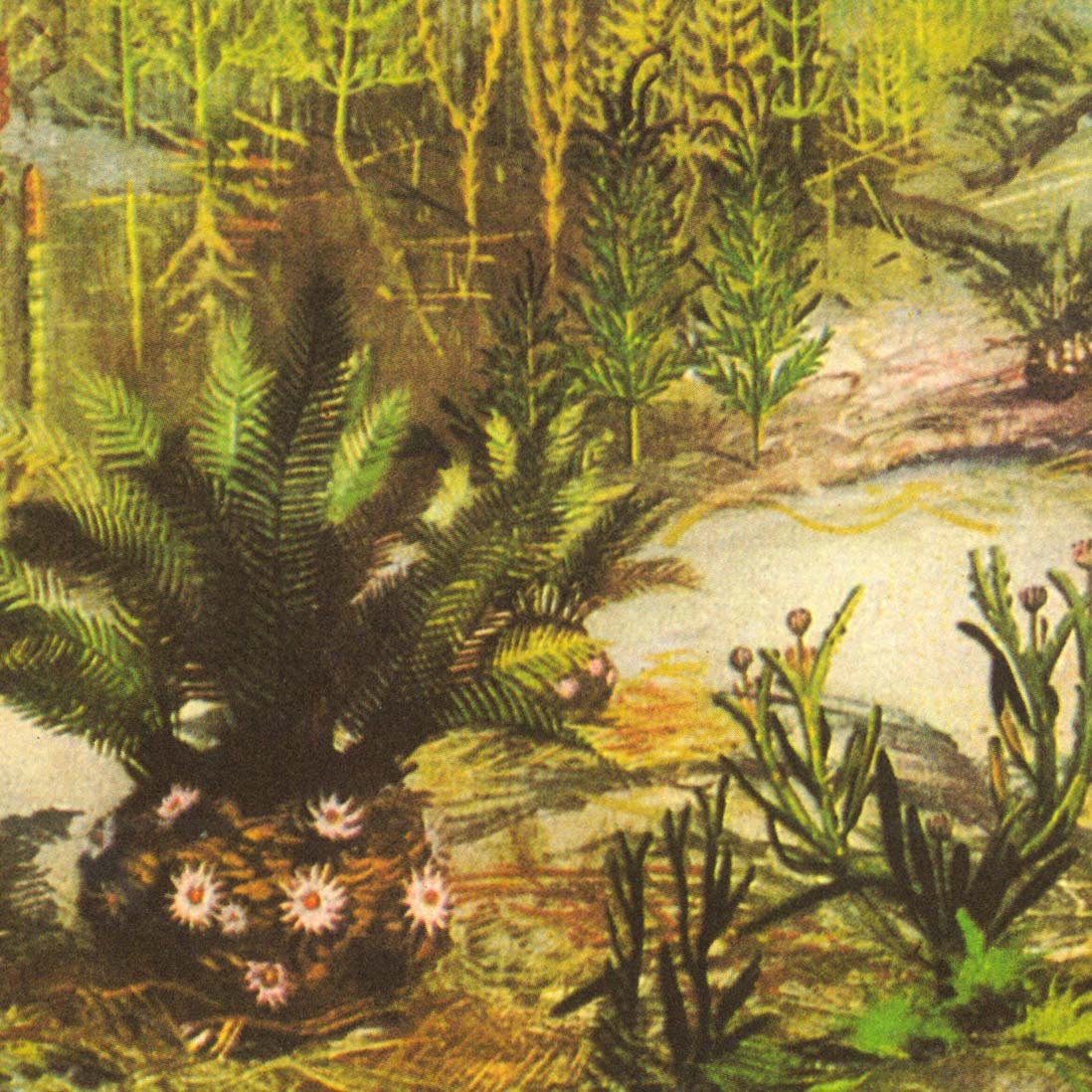 Mesozoic Era Landscape Vintage Print Plants Triassic