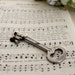 Vintage Skeleton Key
