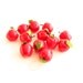 Vintage Red Apple Christmas Ornament Set