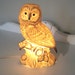 Vintage Lamp - Wide Eyed Owl - Night Light - Porcelain - Nehiandzotz