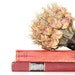 Autumn Wedding decor 2 Book Collection Vintage Book Decor