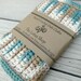 Eco Friendly Dishcloths - Sand and Sea - American Grown Cotton Set of 4