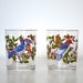 Arcoroc France glasses with birds set of 2