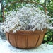 RESERVED for Meredith - Wooden Harvest Basket gathering basket