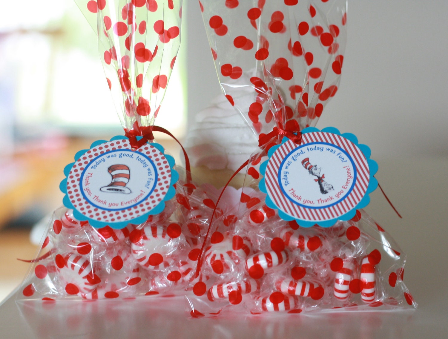 12 Dr Cat Hat Theme Birthday Party or Baby Shower Favor Tags