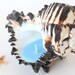Light Blue Soy Candle in Seashell- Black and White
