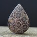 Excellent quality Fossil Coral Cabochon, Natural Cabochon, Jewelry making Supplies S1350