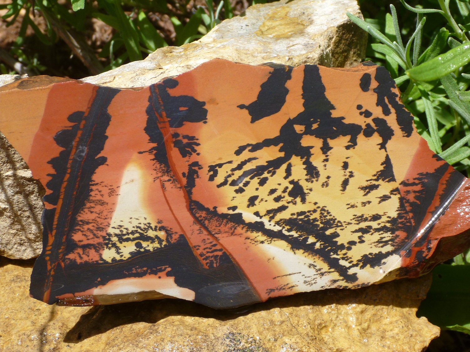 Stunning Death Valley Indian Paint Stone Slab 95 gms