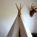 6 Ft Canvas Teepee (fold away)
