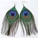 Small Peacock Feather Earrings Jewelry, Peacock Earrings