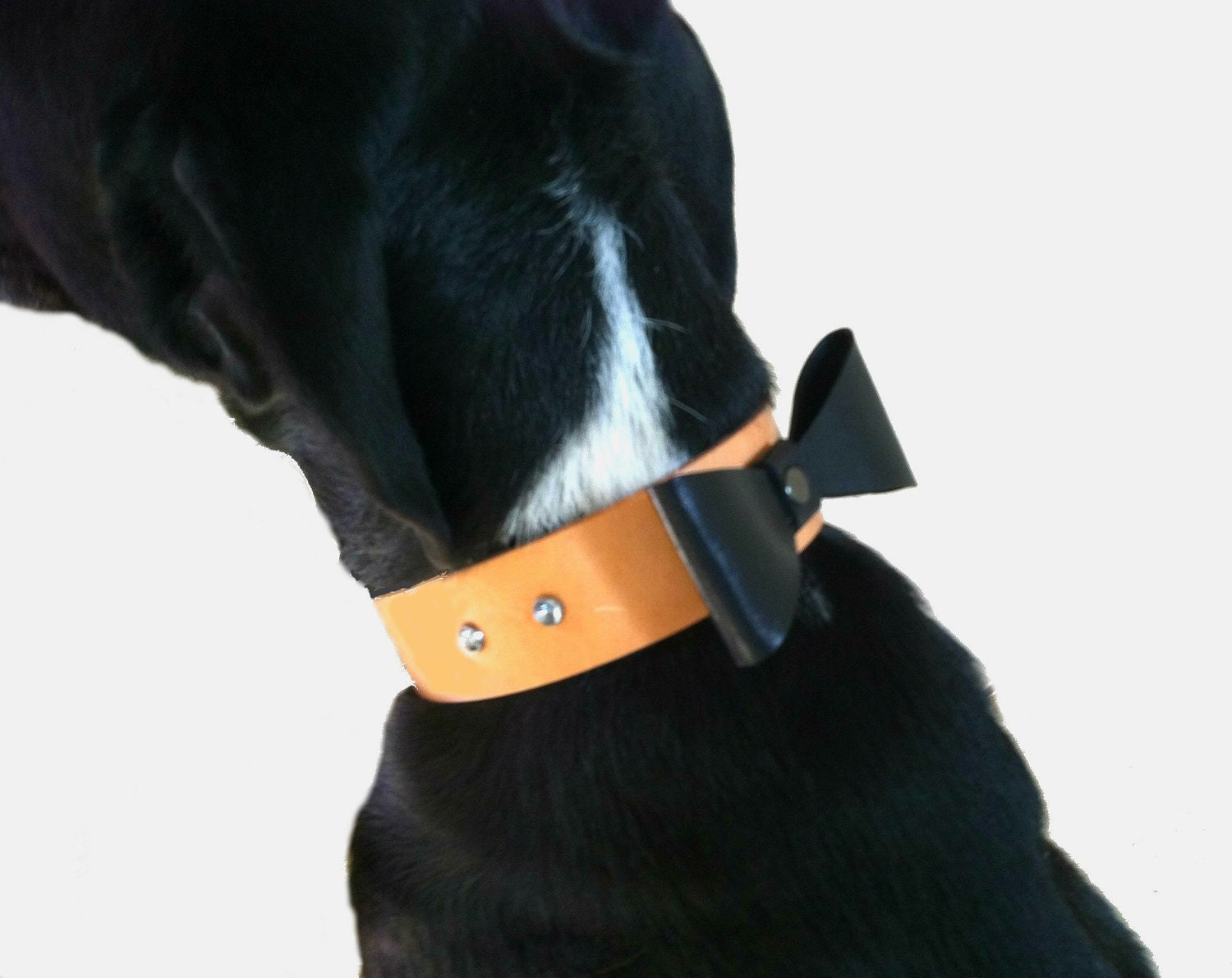 Dog Collar Leather with Bow Tie Groomdog by arcadiancraftsman