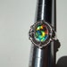 Canadian Ammolite Sterling Silver Ring Was 85.00 on Sale 80.00