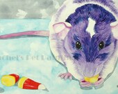 Purple Rat Painting Candy Corn Painting Watercolor Rat Memorial Watercolor Painting Animal Watercolours Pop Art Painting Custom pet Portrait
