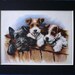 Vintage mounted 1960 Winifred Martin spaniel and terrier dog illustration/print