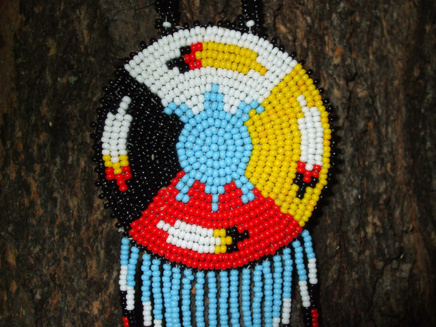 medicine wheel turtle american native