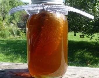 Raw Wildflower Honey, Tennessee Wildflower 43oz Jar Raw Pure Comb Honey, Honey Gift