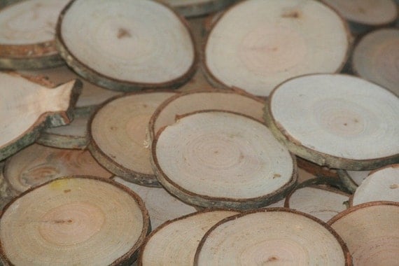 800 Wood Disc Tree Slices Wood Blanks-Summer Camp-Name Tags