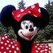SALE 10% OFF - Adult Minnie Mouse Costume