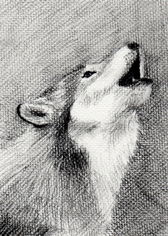 Items similar to Wild Howling Wolf Charcoal Drawing on Textured Heavy ...