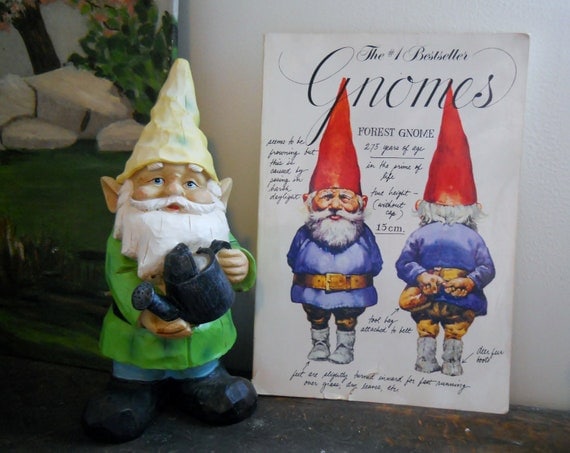 Gnomes illustrated book of gnome history & lore by dejaFaye