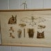 Vintage School Chart of Various Flying Creatures