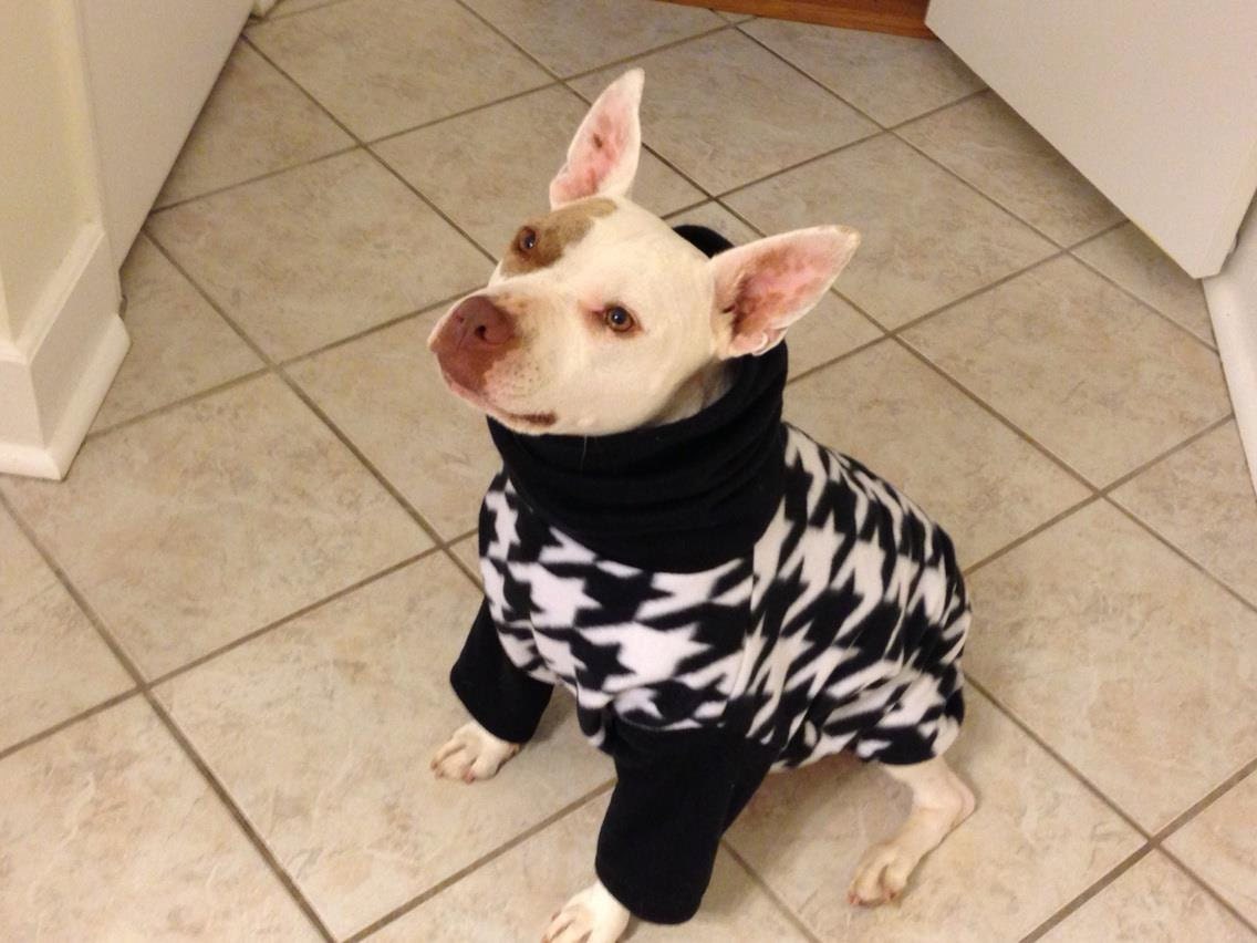 Dog Clothes For Pit Bulls
 Houndstooth Fleece Dog Jacket Pit Bull Jacket Dog Coat Dog