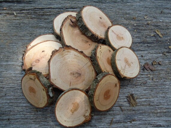 75 wild cherry wood slices 2 for crafts candles