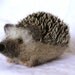 Needle felted hedgehog, woodland animal