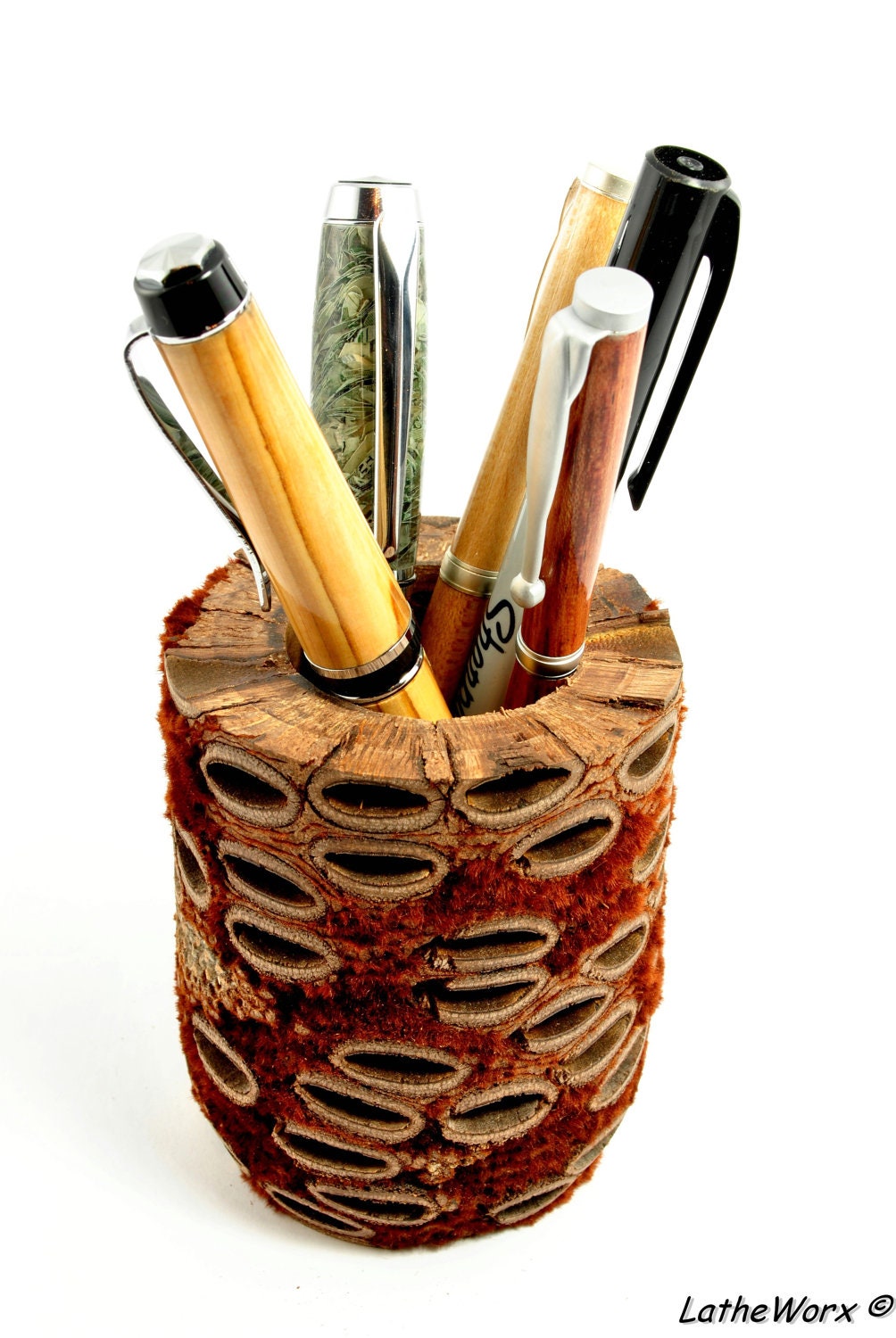 Banksia Pod Pen holder.