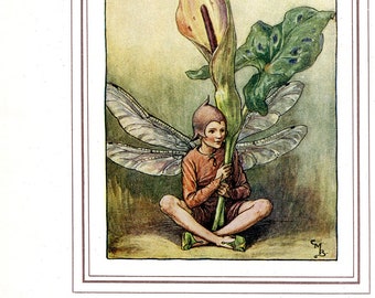 Antique Color Book platePlate Print Vintage Bookplate Book of Flower Fairies The Lords-and-Ladies Fairy Cicely Barker 1937