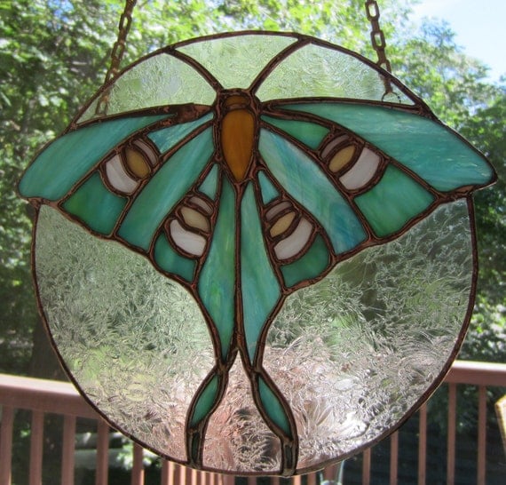 gorogoa moth glass