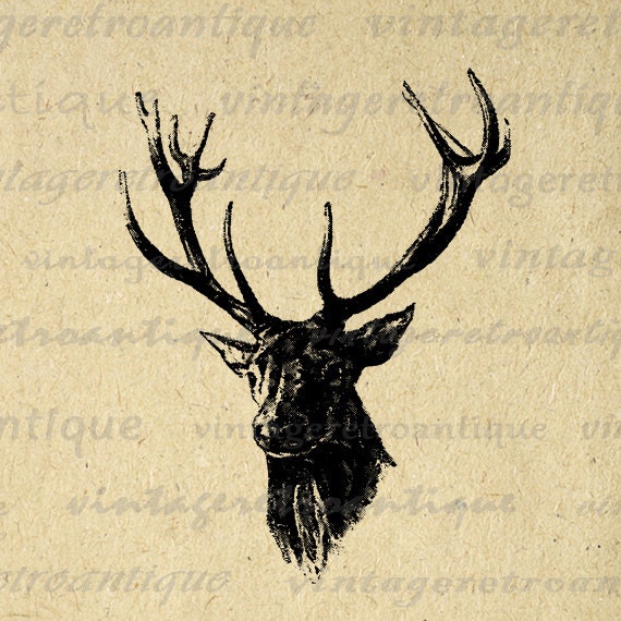 vintage deer clip art - photo #20