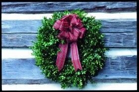 20" Boxwood Double sided wreath