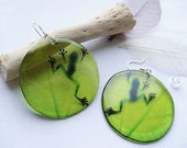 Resin Transparent Green Earrings with Frog