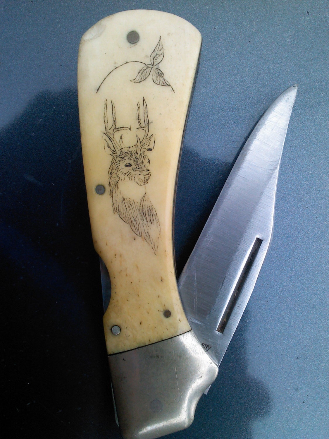 FROST CUTLERY vintage pocket knife bone deer etching