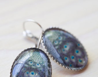 Peacock Earrings, Nature art jewelry, Woman gift under 50, Photo art jewelry, Nature inspired jewelry, Silver, Jewelry for nature lovers
