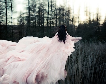 Limited Edition Fine Art Photography Print - "Evensong"