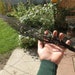 RESERVED... 22" Black Coral Branch. From Bali.