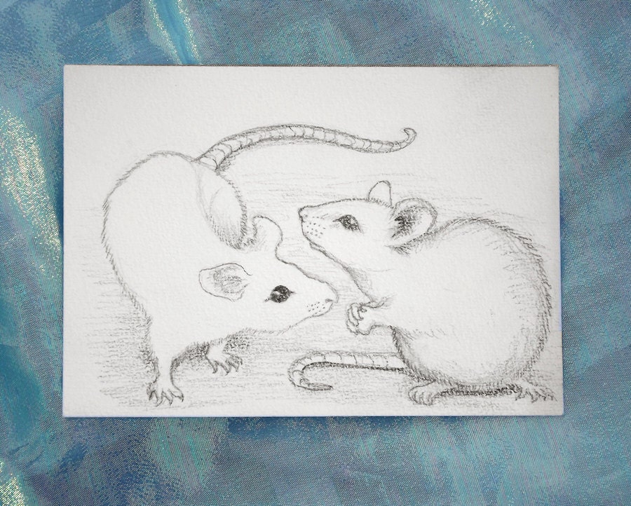 White mice: Original pencil drawing of mouse or rat