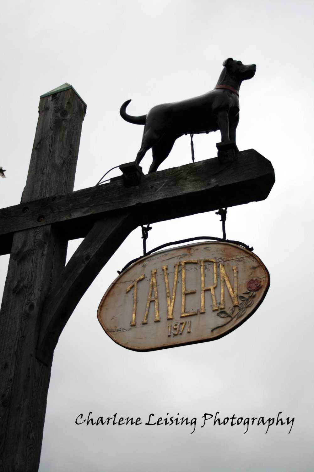 The Black Dog Tavern Martha's Vineyard Cape Cod