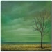 Original Stormscape Oil Painting, Contemporary Landscape Painting with Stormy Sky and Bare Tree, Wall Decor , 6 x 6 x 1.5, The Calm Before