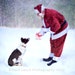 Christmas, July, Santa, Border Collie, Snow, Photograph, Illustration, 5x7