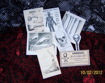 A Truly Odd Assortment of Stickers, Weird Planner Stickers, Gothic Planner Stickers, Halloween Sticker Set, Skeleton, Skull, Sticker Set