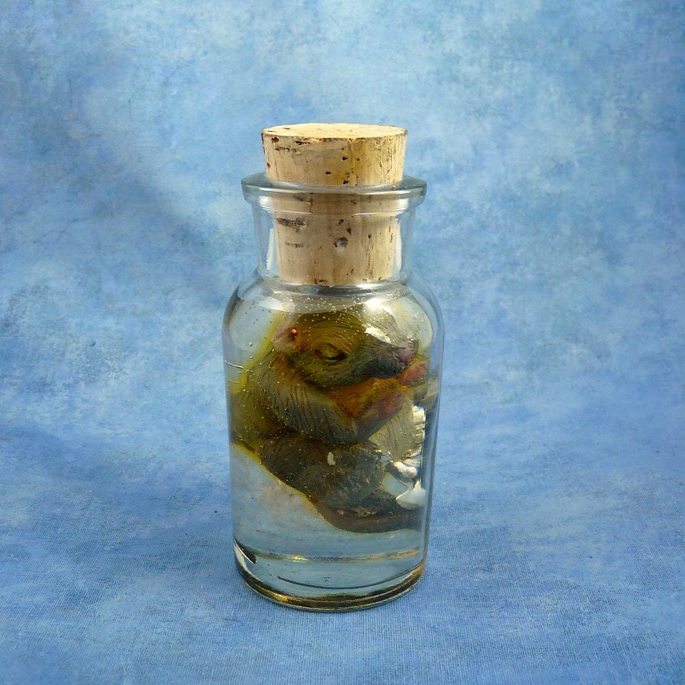 Mouse Specimen Jar Original Mixed Media Rodent Sculpture by Noadi