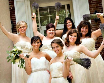Pearl Sash: Beaded Bridal Belt - Cream, Silver, Champagne