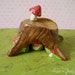 NOM home Mushroom Tree Stump habitat