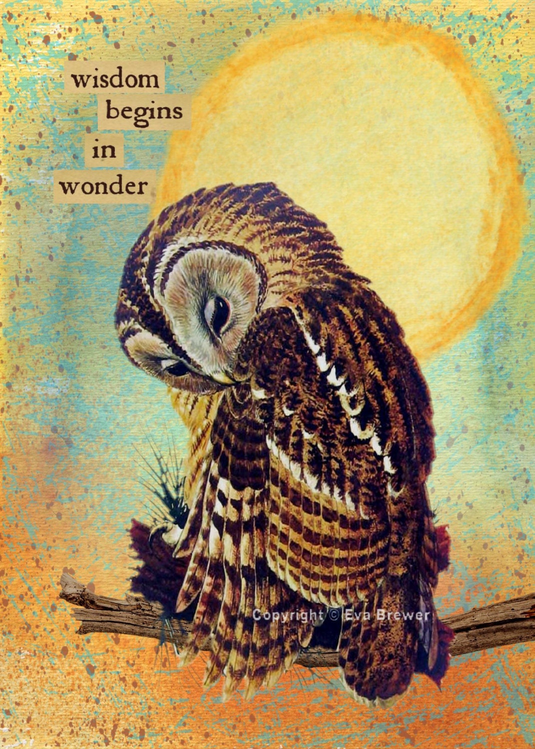 Vintage Owl Art 60