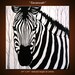 Original Large Abstract Painting Modern Contemporary Zebra Animal Impasto Texture ... 24" x 24" ... Savannah